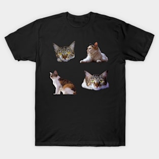 cats stickers T-Shirt